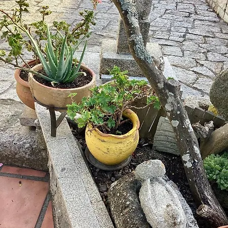 Apartamento Atico Con Terraza *