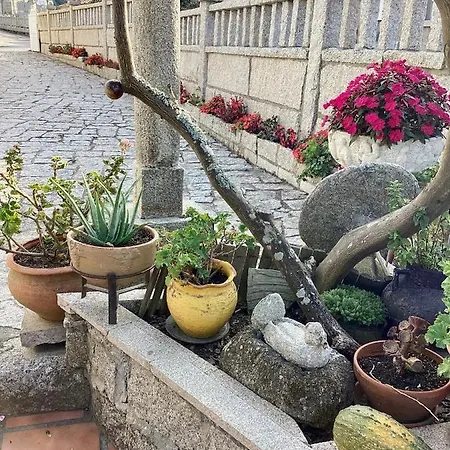 Apartment Atico Con Terraza